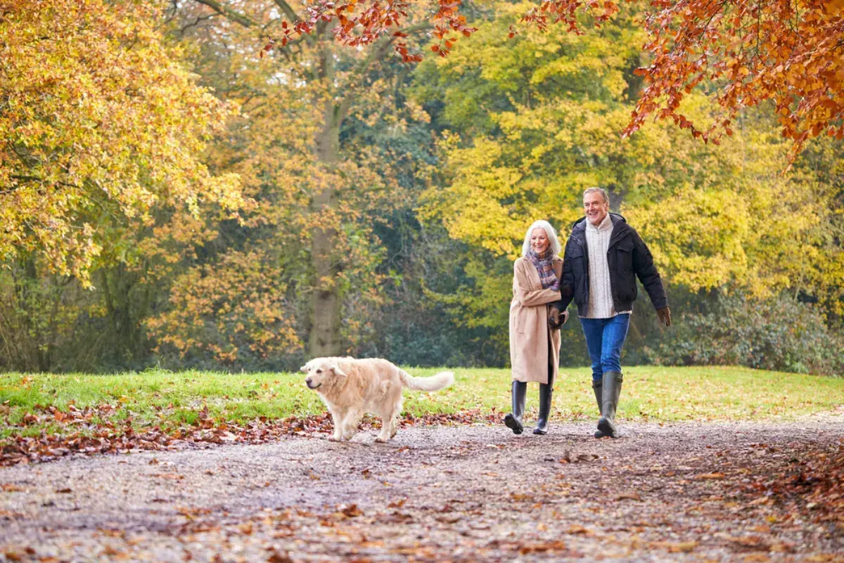 10 Active and Enriching Activities - Autumn